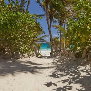 4* Hotel Dos Ceibas - Massage & Yoga Inclusive